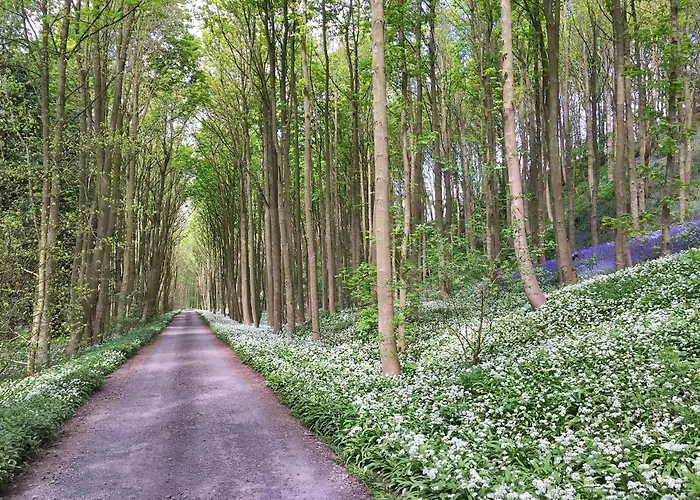 Appartement Finest Retreats - Ingleby Manor - South Front